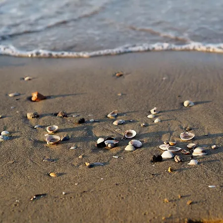 Flat For 5 In A With 12 Pools